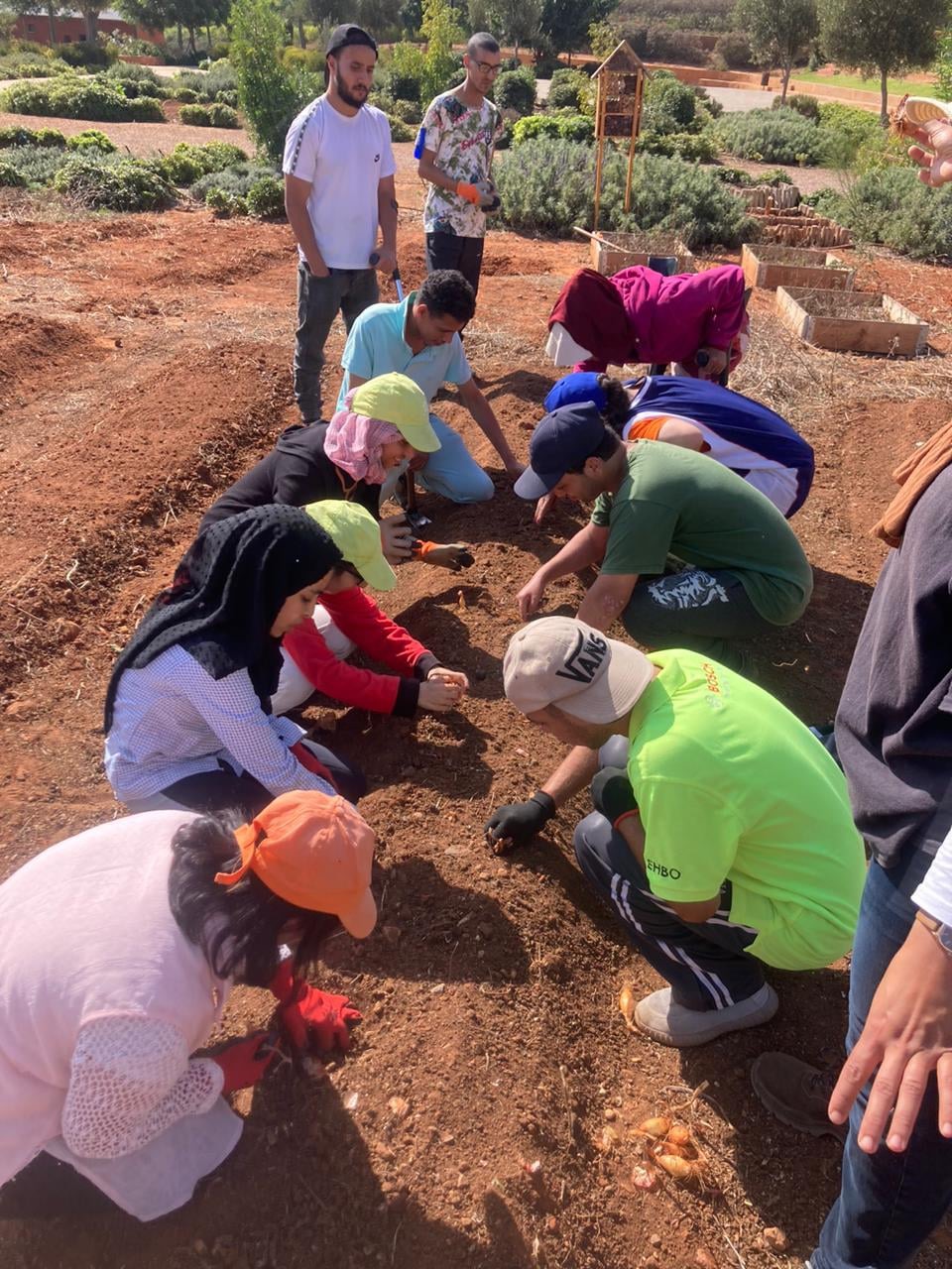 Gardening program